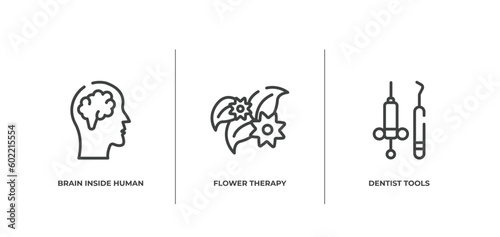 medical and dental outline icons set. thin line icons sheet included brain inside human head, flower therapy, dentist tools vector.