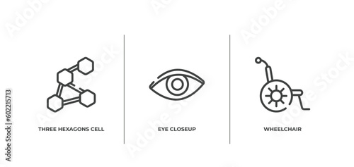 in the hospital outline icons set. thin line icons sheet included three hexagons cell, eye closeup, wheelchair vector.