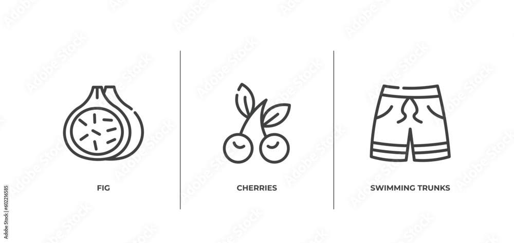 Naklejka premium summer outline icons set. thin line icons sheet included fig, cherries, swimming trunks vector.