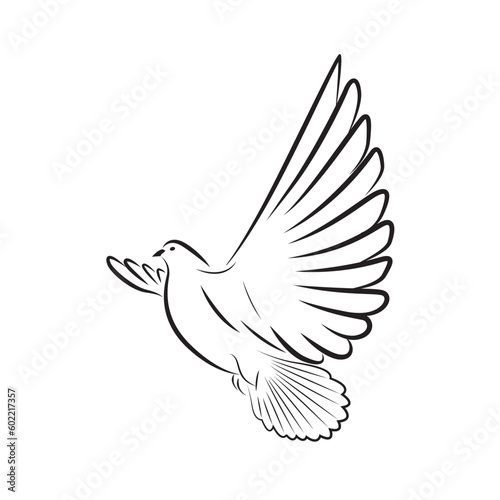 Dove bird, symbol for peace vector isolated on white. Flying pigeon.