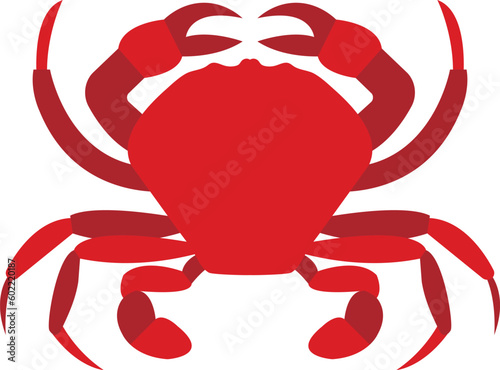 red crab isolated vector image or clipart