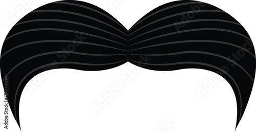 black mustache vector image