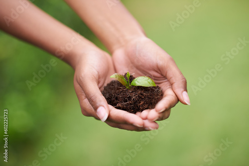 Soil in hands of woman, plant and ecology with growth of environment, nature and sustainability with life. Leaves, development and eco friendly, hope and new beginning or start with agriculture