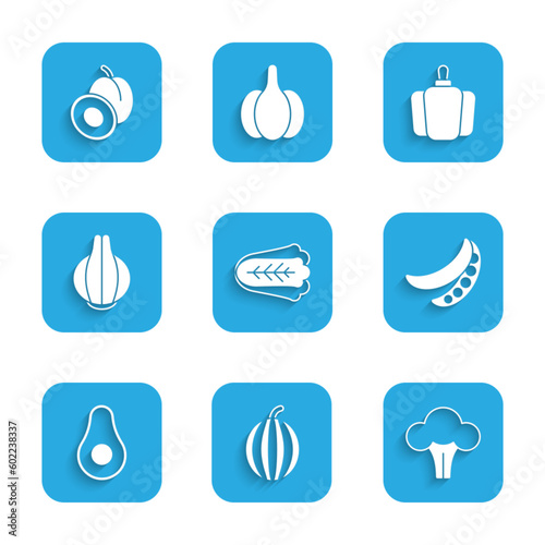 Set Cabbage, Watermelon, Broccoli, Green peas, Avocado fruit, Onion, Bell pepper and Plum icon. Vector