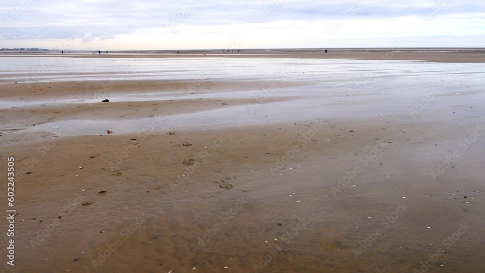 Plage de Sainte Cécile plage au bord de la Manche, département du Pas de Calais en France