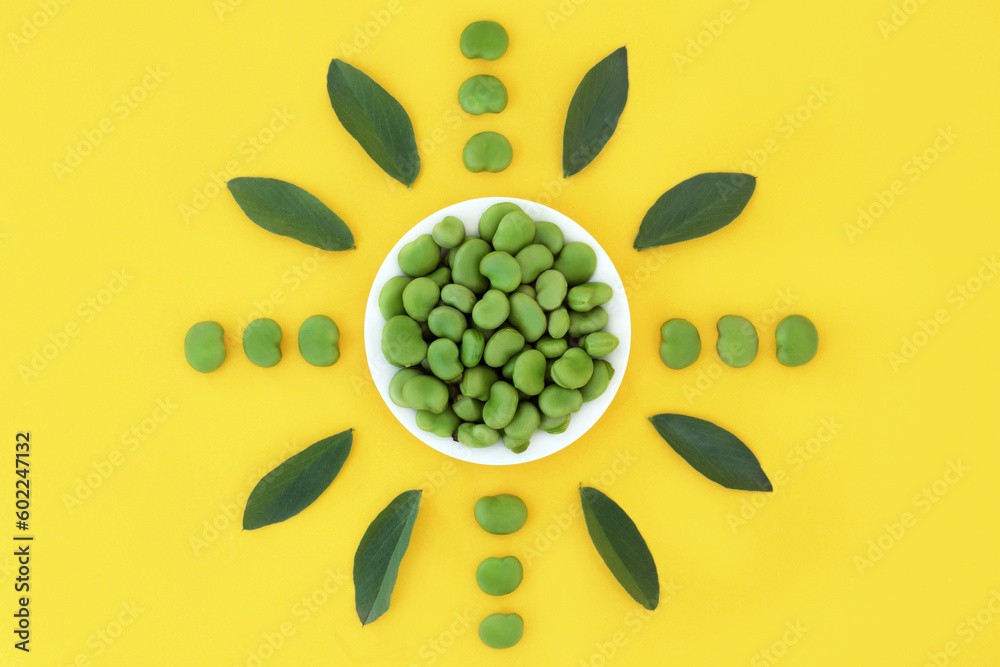 Broad bean green vegetable healthy food high in folate, fibre ...