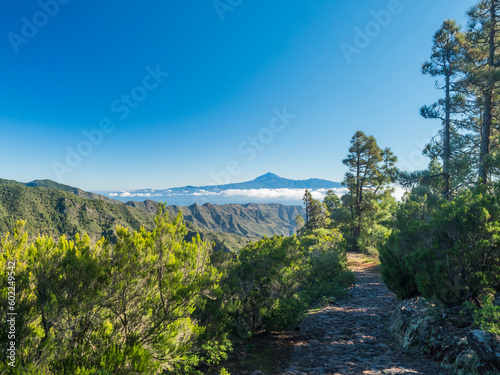 Scenic green landscape in Garajonay National Park with island Tenerife and Volcano Pico de Teide.Hiking trail from the Mirador de Roque Agando to La Laja on La Gomera, Canary Islands, Spain, Europe.