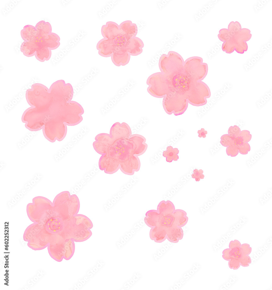 cherry blossoms, sakura petals, hanami flowers on transparent background, isolated, extracted, png file cherry blossoms, sakura petals, hanami flowers on transparent background, isolated, extracted, png file