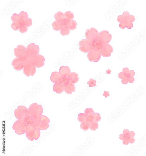 cherry blossoms, sakura petals, hanami flowers on transparent background, isolated, extracted, png file