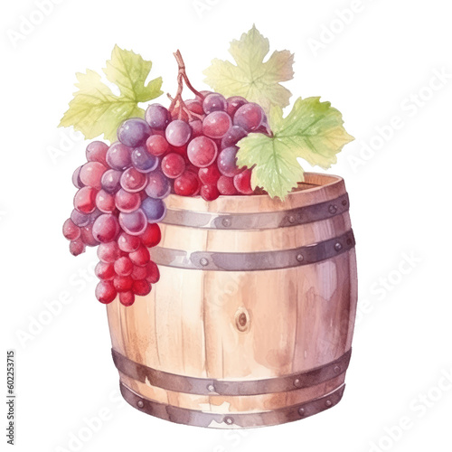 Watercolor barrel with wine and a branch of grapes