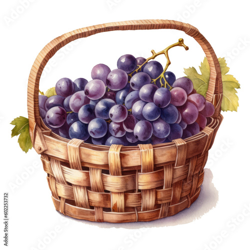 Watercolor wicker basket with grapes