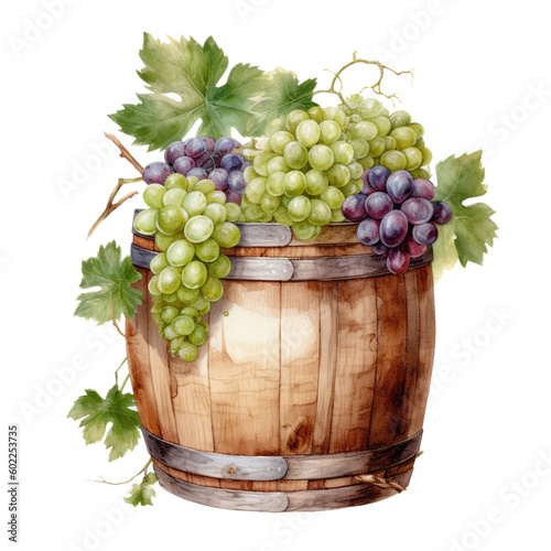 Watercolor barrel with wine and a branch of grapes