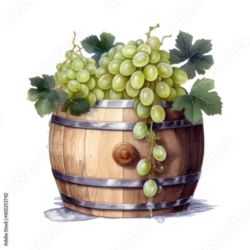 Watercolor barrel with wine and a branch of grapes