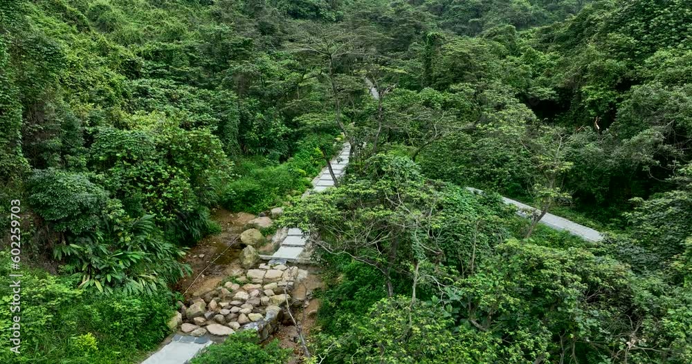 Aerial view of spring forest in guangdong province, China Aerial view of spring forest in guangdong province, China