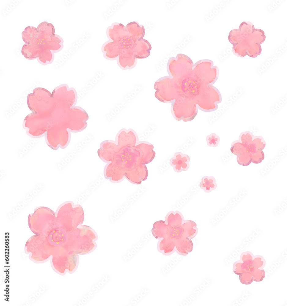 Kirschblüten, Sakura, Hanami, Blütenblätter auf transparentem Hintergrund, freigestellt, png Datei - obrazy, fototapety, plakaty 