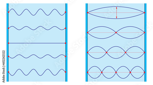 Physics. The vibrational modes of a physical string and time-lapse diagram of a standing wave. Science