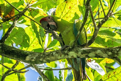 Costa Rica