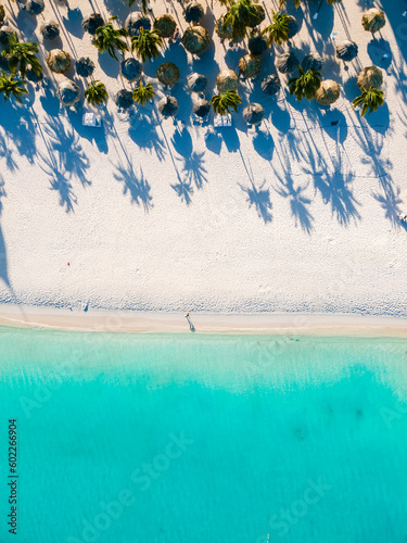 Palm Beach Aruba Caribbean  white long sandy beach with palm trees and a blue ocean at Aruba Antilles.