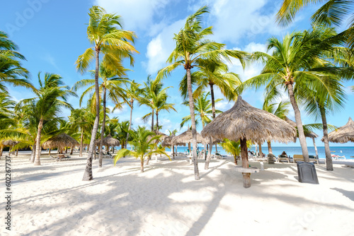 Fototapeta Naklejka Na Ścianę i Meble -  Palm Beach Aruba Caribbean Island, white long sandy beach with palm trees at Aruba Antilles.
