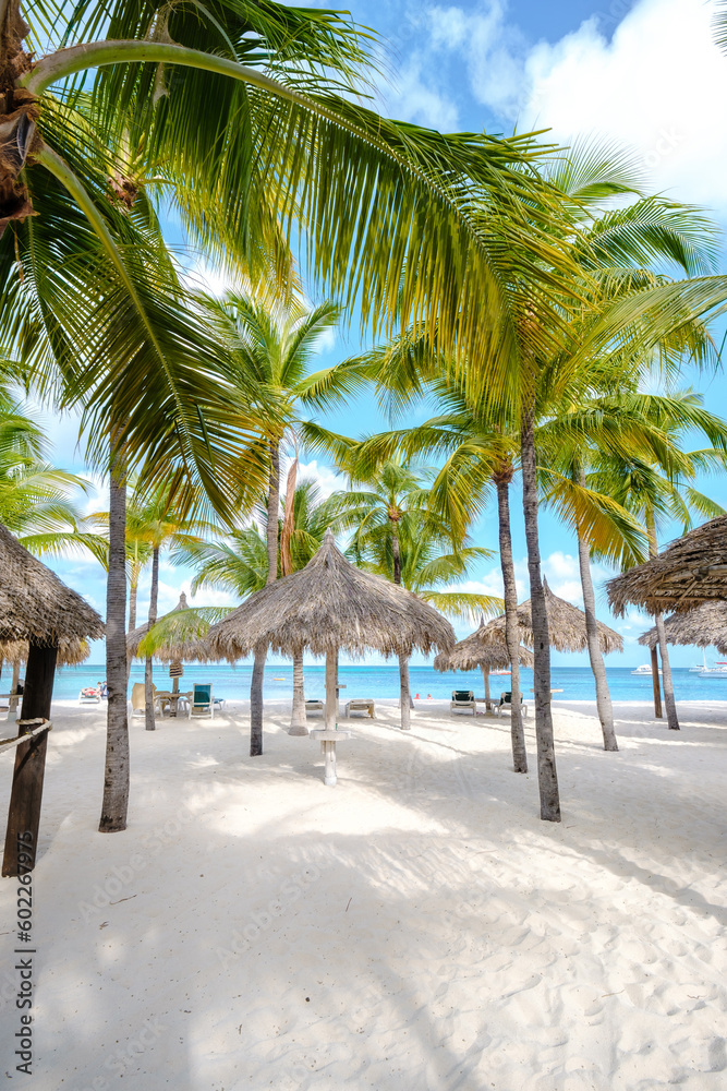 Obraz premium Palm Beach Aruba Caribbean Island, white long sandy beach with palm trees at Aruba Antilles.