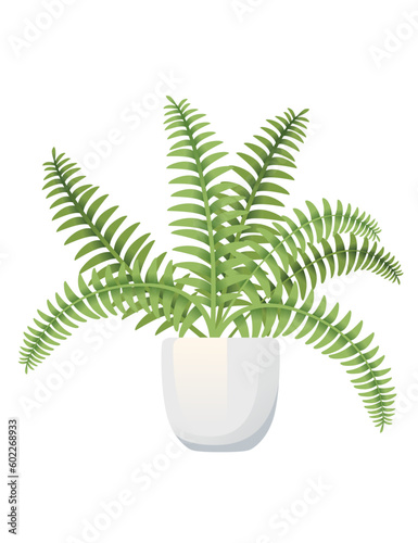 Fern houseplant in white ceramic pot vector illustration isolated on white background