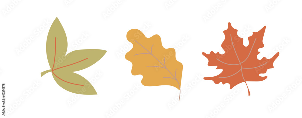 Set of autumn leaves isolated on white background. Vector illustration Set of autumn leaves isolated on white background. Vector illustration