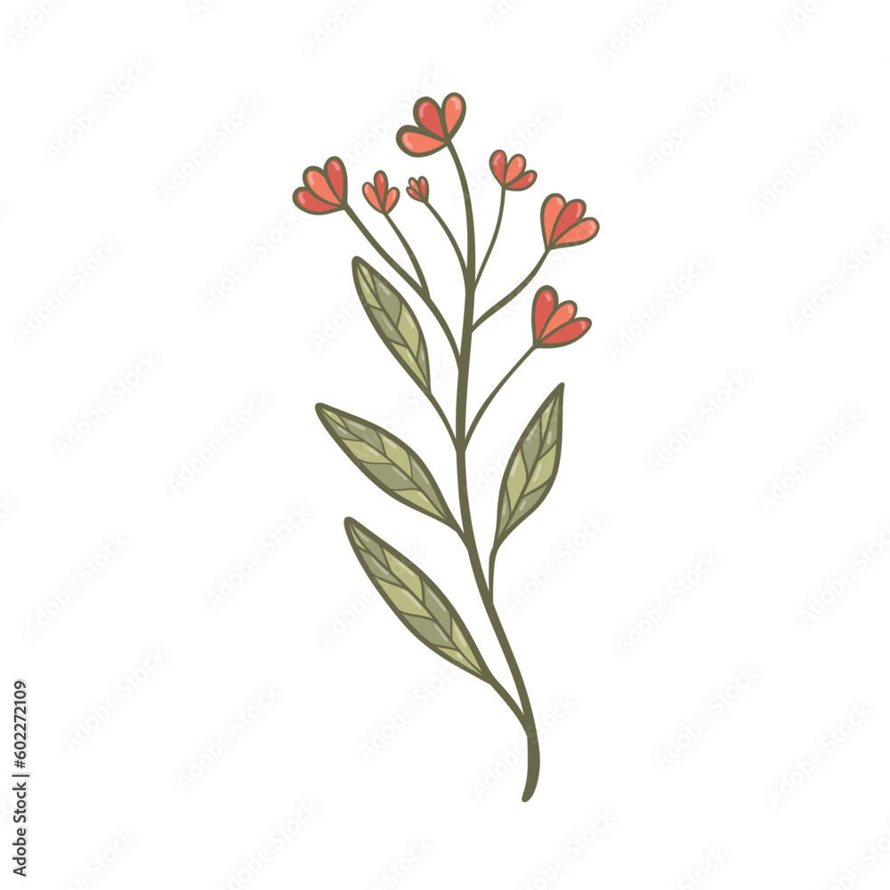 Colorful flower, hand drawn, vector flat illustration. Flowering plants with stems and leaves isolated on white. Floral decoration or gift. for your design