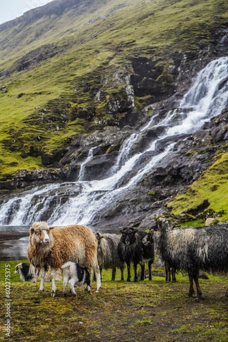 Faroe Islands