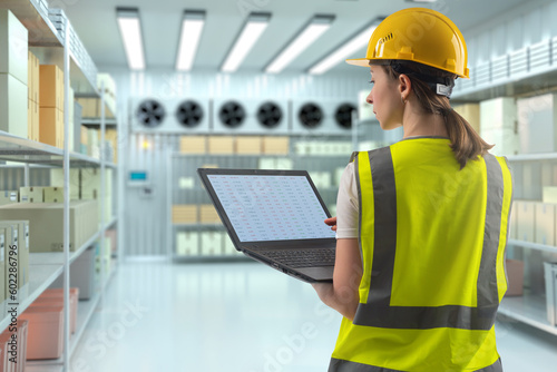 Woman in industrial refrige...