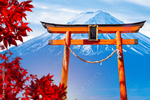 Canvas Print Japan volcano