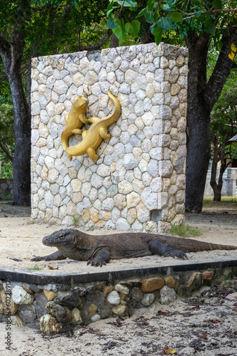 A Komodo dragon is relaxing in front of the logo wall on rinca Island. photo