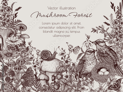 Vector forest frame with mushrooms, plants, herbs, butterflies, snail and birds at the nest. Nightingales, chanterelles, white fungus, honey mushrooms, mycena, chamomile, poppy, buttercups, veronica