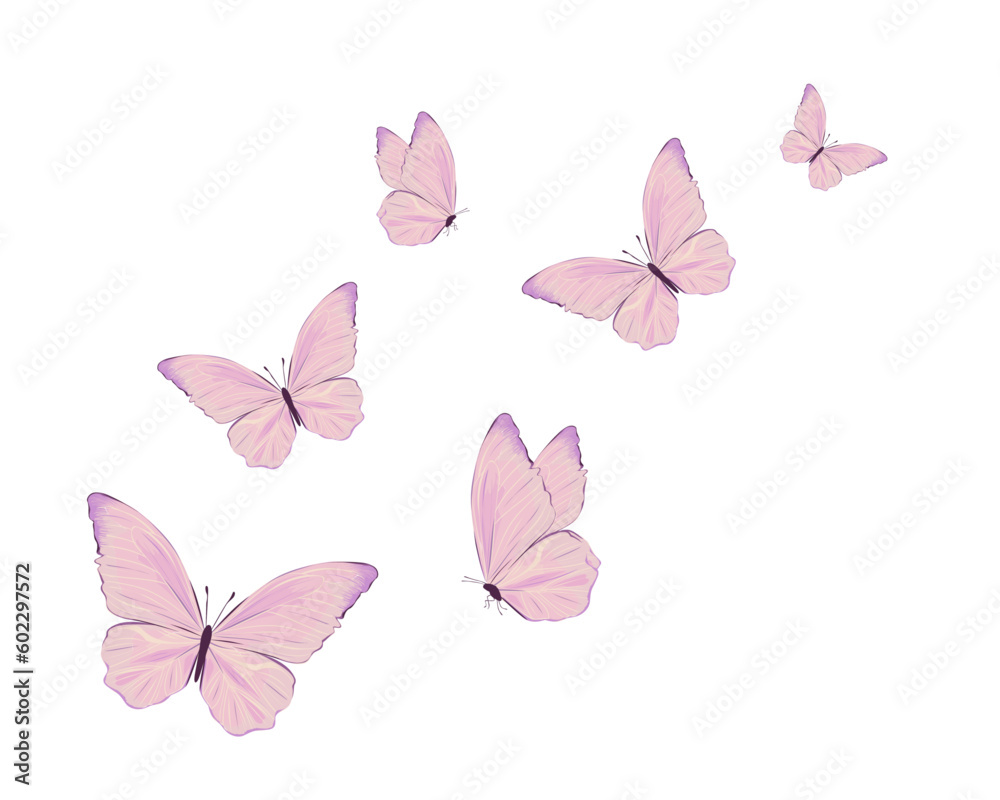 butterflies and flowers - obrazy, fototapety, plakaty 