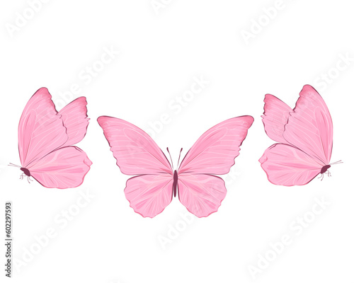 pink butterfly on white background © gltekin