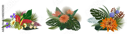 Billede på lærred Tropical flowers and leaves compositions set