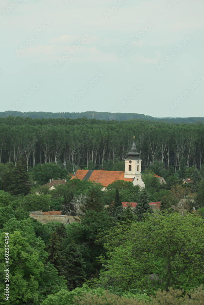 Fototapeta premium Church in the woods in Serbia 