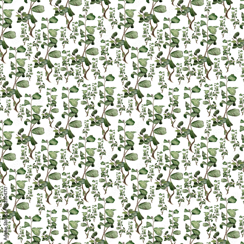 Hand painted watercolor seamless pattern with green herbs