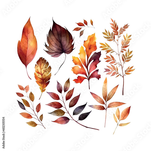 Beautiful autumn leaves watercolor set, great design for any purposes. botanical background.