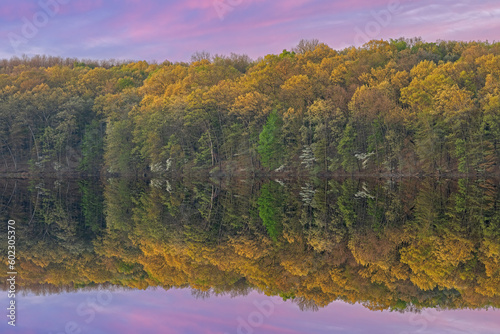 Spring landscape at dawn of the shoreline of Eagle Lake with mirrored reflections in calm water and dogwoods in bloom, Fort Custer State Park, Michigan, USA