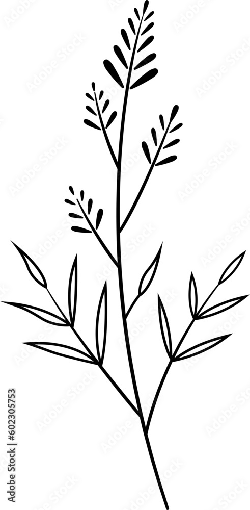 flower and leaf botanical line art and doodle illustration.
flower and leaf botanical line art and doodle illustration.