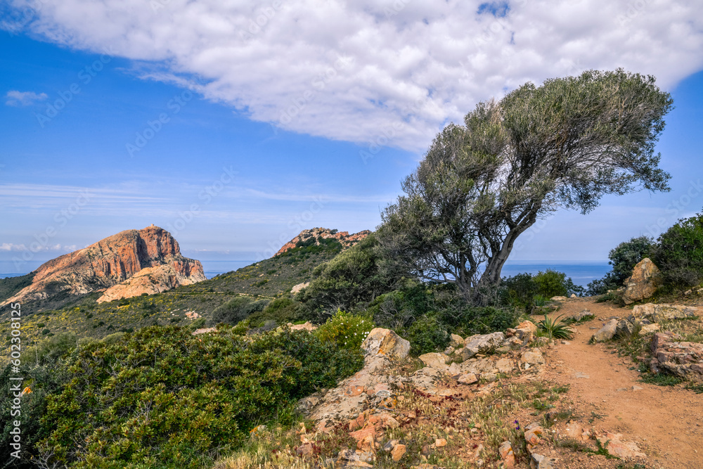 Scenic hike to the Cliffs of Capo Rosso, Corsica Scenic hike to the Cliffs of Capo Rosso, Corsica