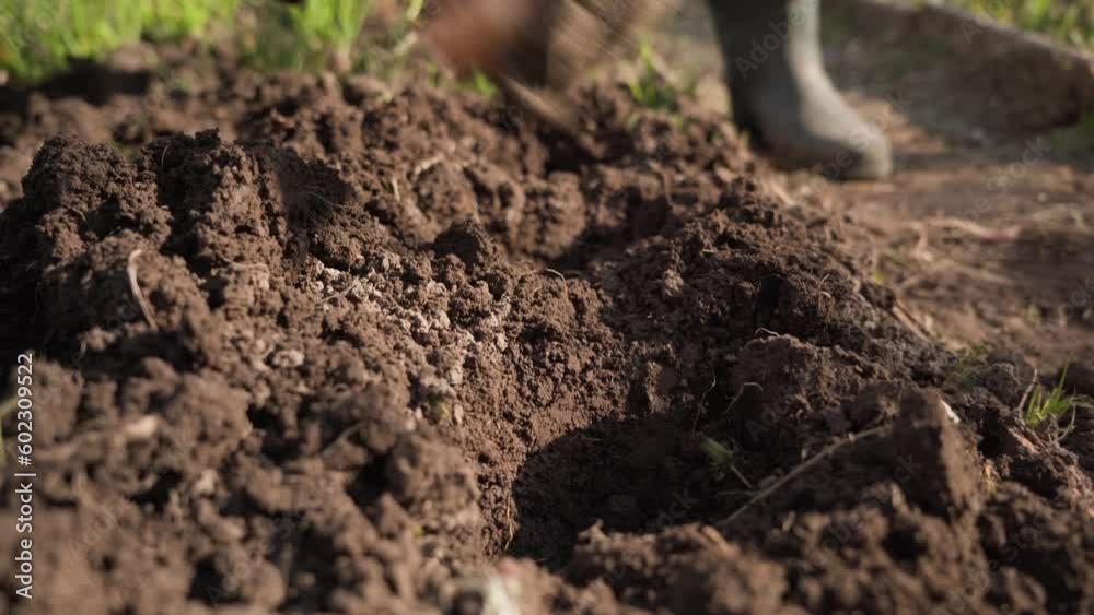 planting onions in the soil. holes for planting. hands in gloves. moving the camera backwards planting onions in the soil. holes for planting. hands in gloves. moving the camera backwards