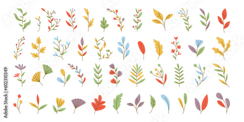 Various Branches with Flowers, Leaves and Berries. Hand drawn Colorful trendy illustration. All elements are isolated. Vector stock illustration, all elements isolated. 