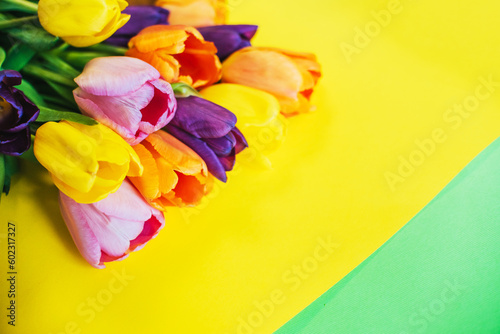 beautiful tulips on a multicolored background. the view from the top. with space for text