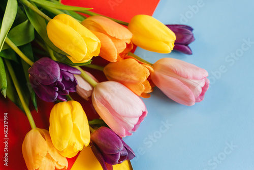 beautiful tulips on a multicolored background. the view from the top.