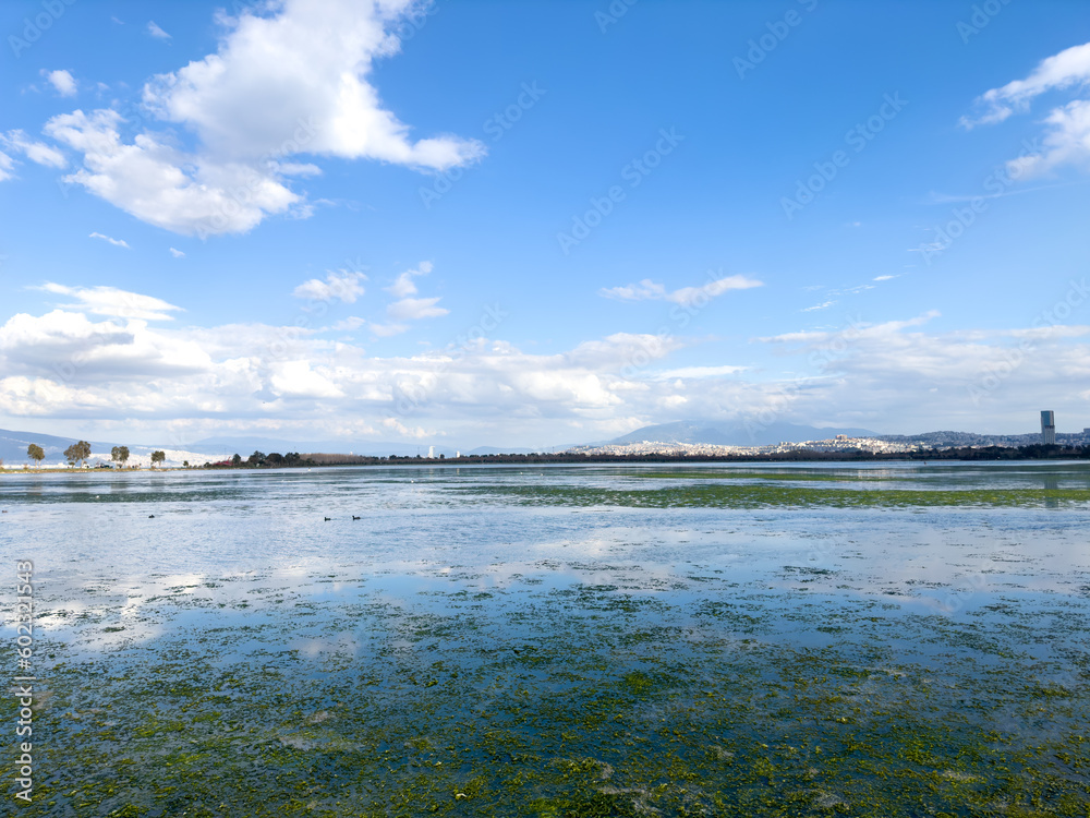 An intertidal zone covered with seagrass during low spring tide in İnciraltı, İzmir, Türkiye with blue cloudy sky. Environmental pollution concept.