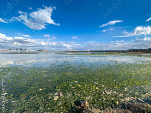 An intertidal zone covered with seagrass during low spring tide in   nciralt      zmir  T  rkiye with blue cloudy sky. Environmental pollution concept.
