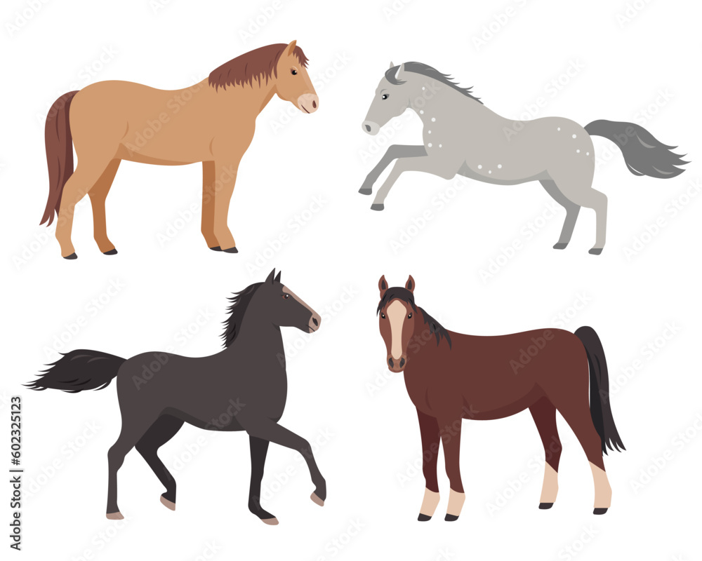 Set of horses in various poses. Farm domestic animal icons isolated on white background. Vector flat or cartoon illustration.