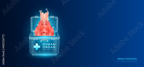 Donor organ. Human thyroid gland in cooler box low poly triangles with copy space for text. Donation for organ transplantation. Medical innovation diagnosis treatment concept. Banner vector