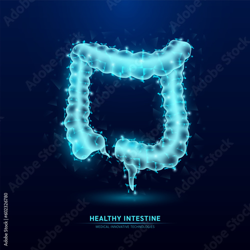 Human intestine blue translucent low poly triangles on dark blue background. Futuristic glowing organ anatomy. Innovative technology. Health care medical and science concept. Vector EPS10.